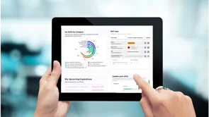 screenshot of Visual Workforce